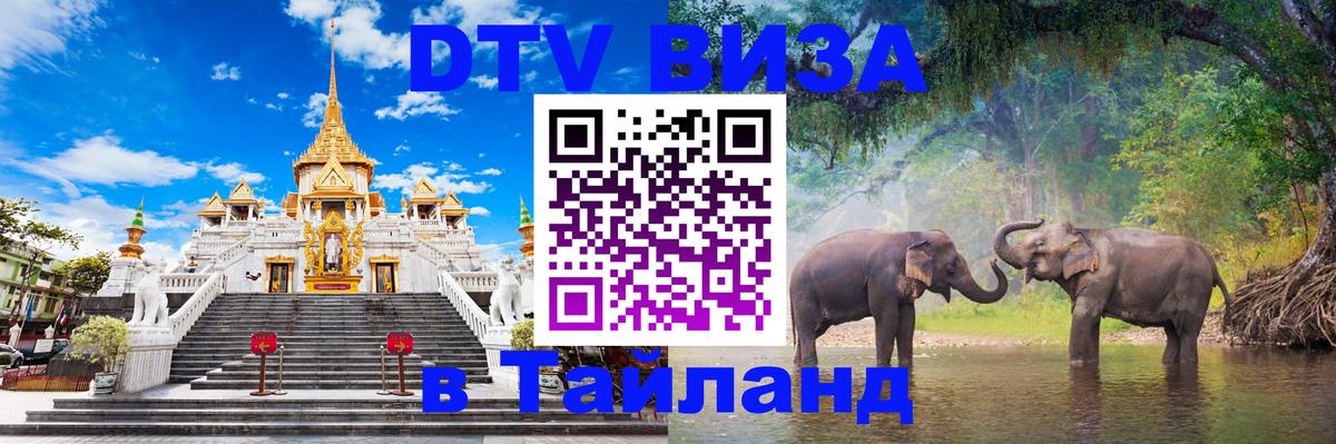 Сколько стоит DTV виза — актуальные цены, оформление даже без документов - Багдад  20.11.2025 